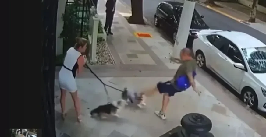 Justiça condena aposentado por agredir cães de irmã do ministro Zanin, do STF