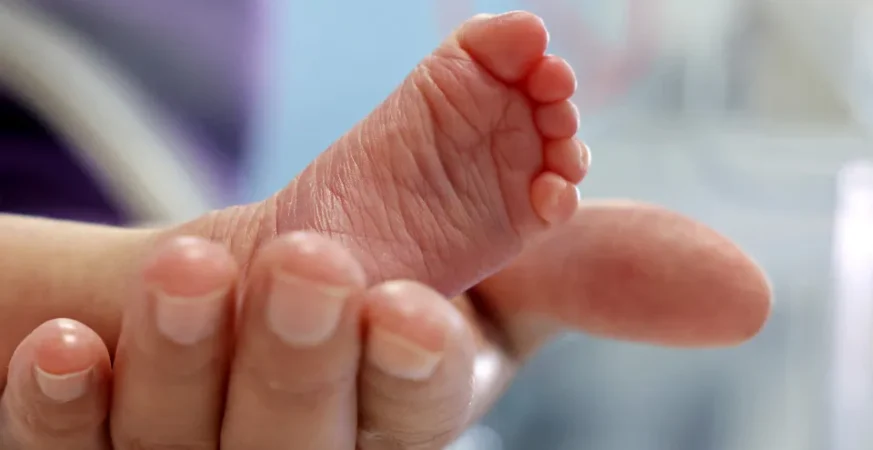 Bebê prematuro morre após infecção por superbactéria, e hospital fecha UTI em Porto Alegre