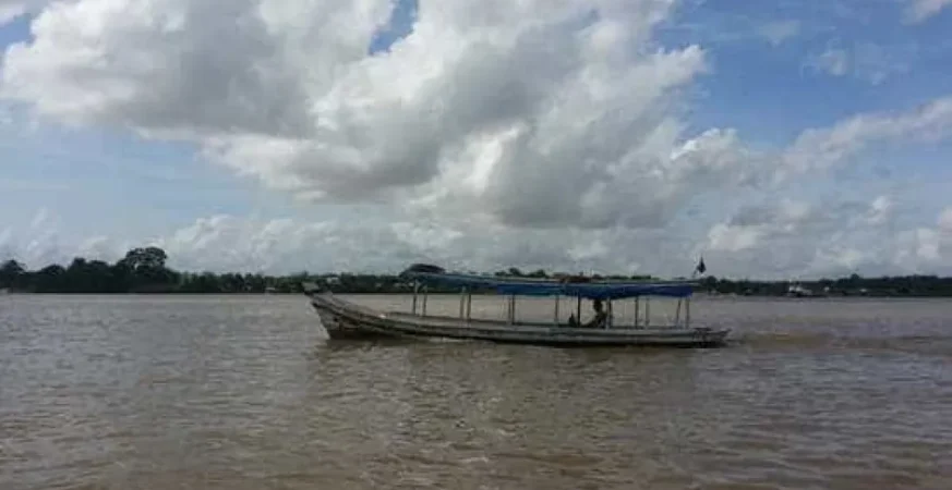 Quatro são presos com carga de grude de peixe avaliada em R$ 1 mi no Amapá