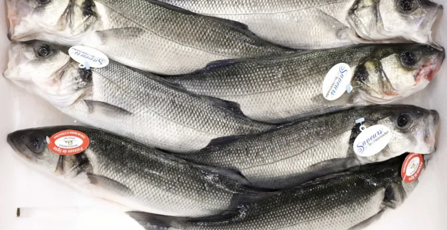 Vigilância Sanitária orienta sobre compra de pescado na Semana Santa