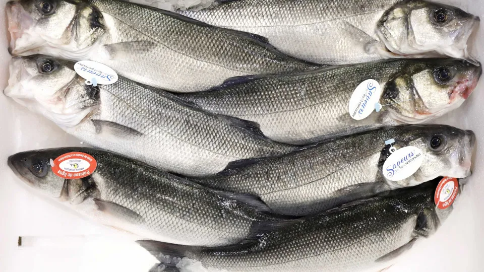 Vigilância Sanitária orienta sobre compra de pescado na Semana Santa