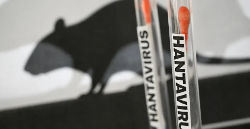 Paraná confirma dois casos de hantavírus e investiga outros 11