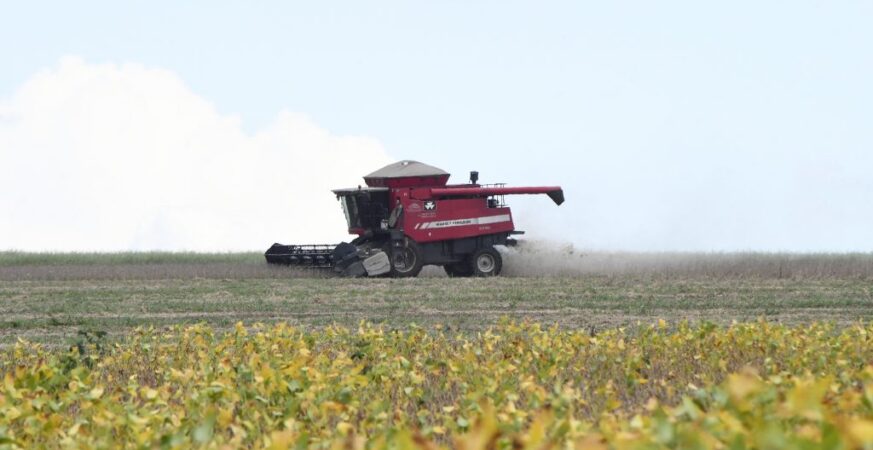 Showtec: MS avança e agro cresce como vitrine de inovação e futuro das cadeias produtivas