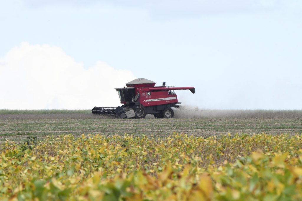 Showtec: MS avança e agro cresce como vitrine de inovação e futuro das cadeias produtivas