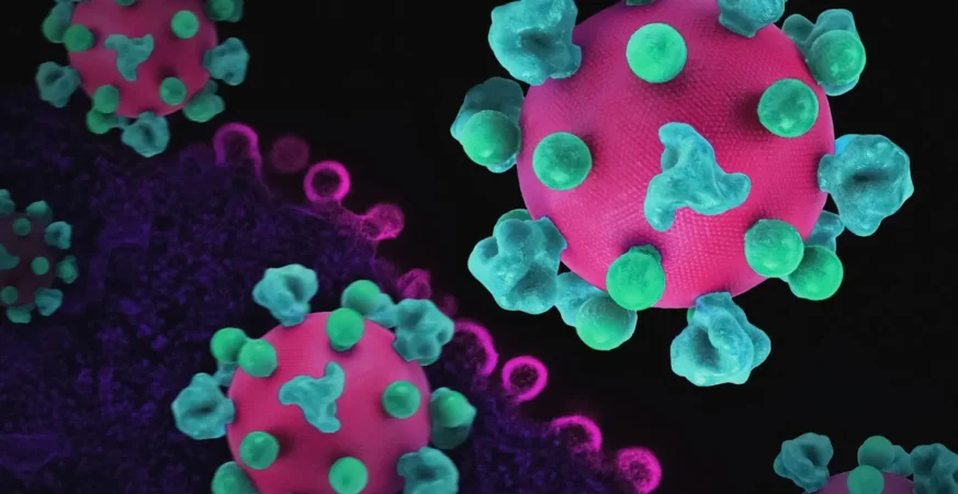 hantavirus