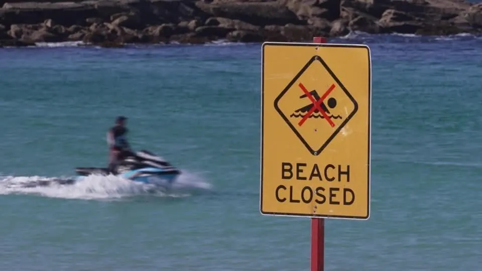 Mulher fica gravemente ferida após ataque de tubarão em praia da Austrália