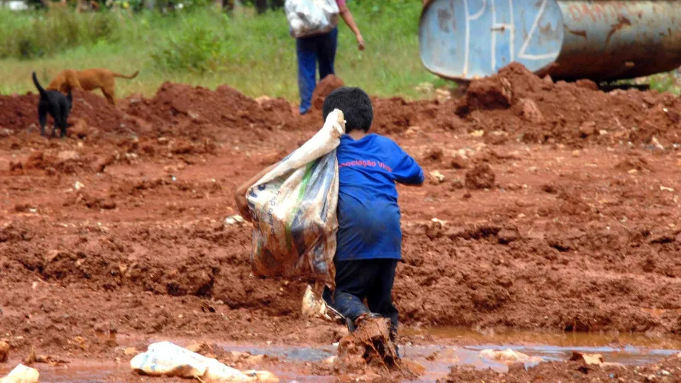 Somente três estados têm plano vigente contra o trabalho infantil