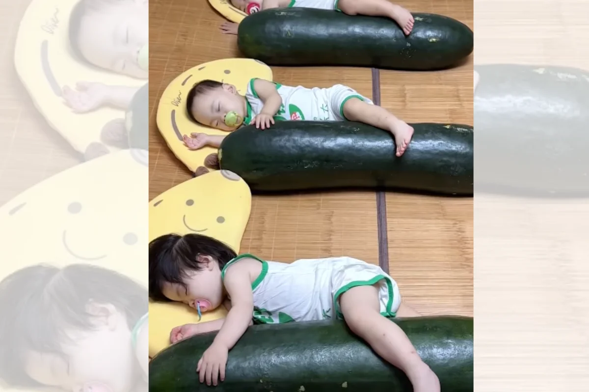 Por que pais na China estão colocando bebês para dormir ao lado de melões gigantes?